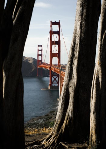 Unsplash ID ikY3Q19Wmx8