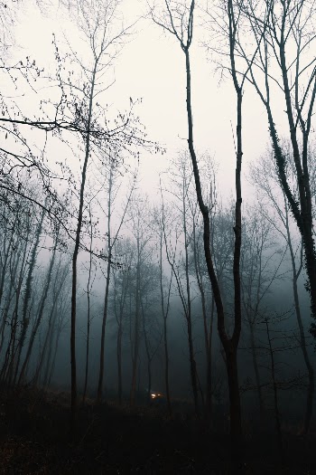 Unsplash ID iliiEoLlBfo