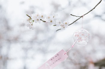 Unsplash ID INSYxXmWQVs