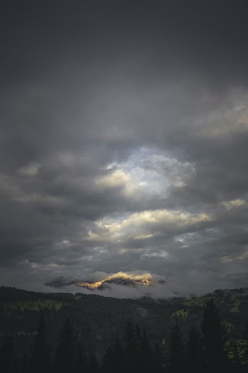 Unsplash ID inxgrwcntZo