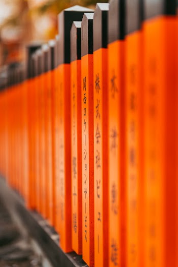 Unsplash ID ioadWbd-22g