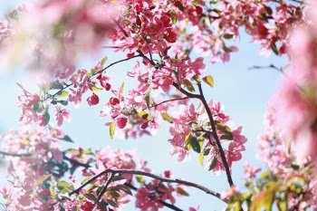 Unsplash ID iOMv4daqIUg