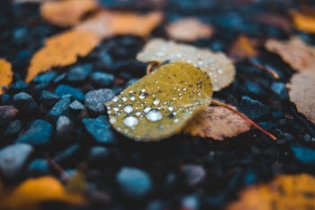 Unsplash ID iOnJL4UmpTU