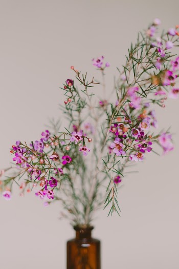 Unsplash ID iOUxzLxE3m8