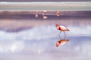 Unsplash ID IpbnuyBWQqY