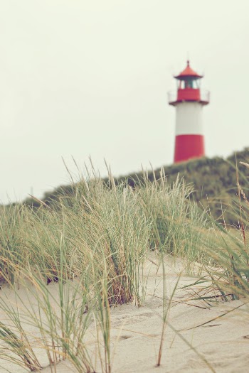 Unsplash ID iPDkK3UTz2A
