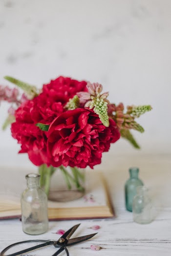 Unsplash ID IPh9H8dXMno