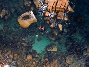 Unsplash ID IPRX-LsiyGw