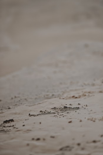 Unsplash ID ipryX1O1wa8