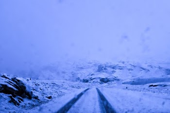 Unsplash ID -Iqiws8Fqhw