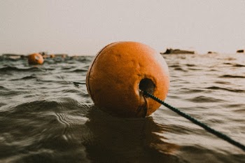 Unsplash ID iqolSw3pu50