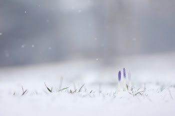 Unsplash ID IQXNLLHj2X4