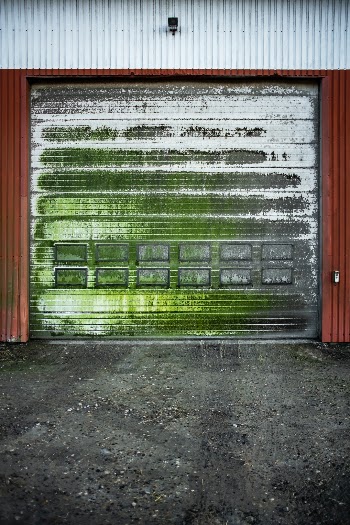 Unsplash ID IrRhtundAdE