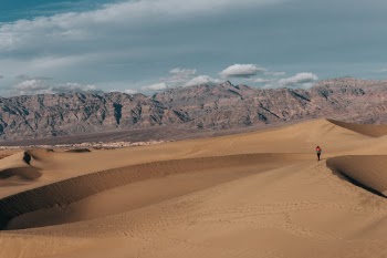 Unsplash ID IRW6T87IfVA