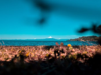 Unsplash ID iVT1oscHSPU