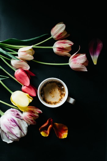 Unsplash ID ivWZ5_r1ouo