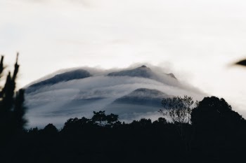 Unsplash ID IXEWi9YsS9c