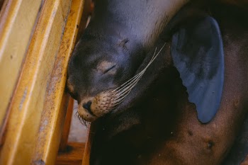 Unsplash ID IyYRrp1d0TM