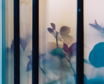 Unsplash ID J-ir_IqRTAg