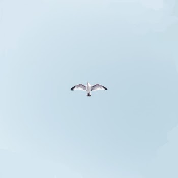 Unsplash ID J0VBo6j5mHI