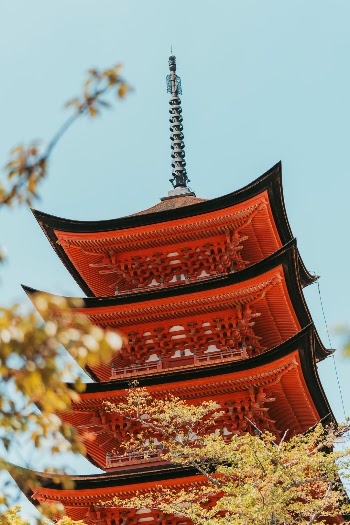 Unsplash ID J1zJkNttt2M