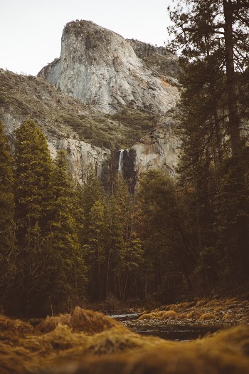 Unsplash ID J7w12ShptC0