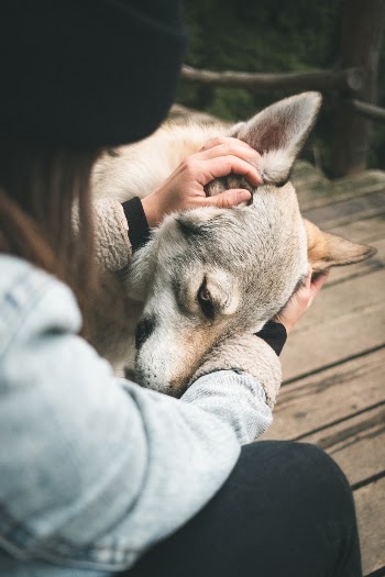 Unsplash ID J8tlOoiqS2I
