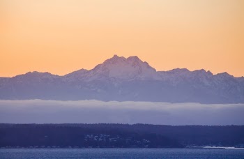 Unsplash ID JAOdUha1bWk