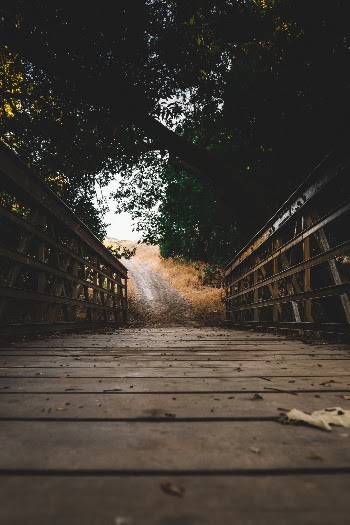 Unsplash ID JBvQDRVWZMA