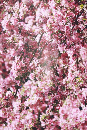 Unsplash ID jd0xxPz9S7g