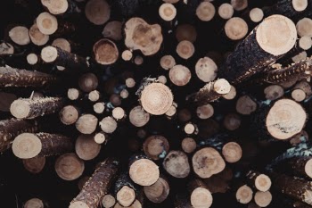 Unsplash ID jEQ6bbVh5OQ
