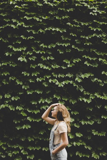Unsplash ID jf3O5CJFCCk
