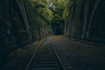 Unsplash ID JfrgGe-uQOA
