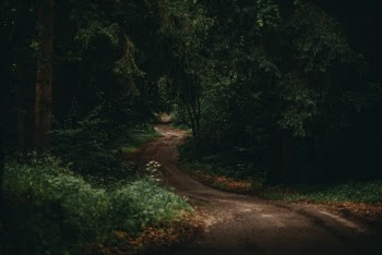 Unsplash ID jgFPg_EO2dU