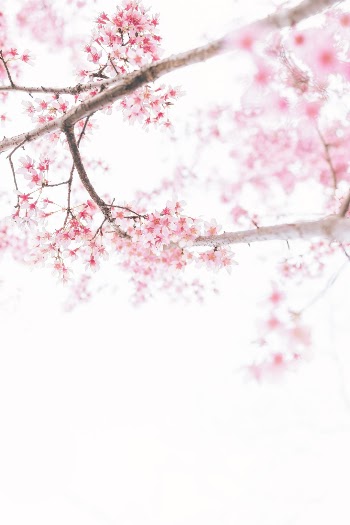 Unsplash ID jGHVjPJM_x0