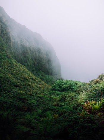 Unsplash ID jh-wUw4zQX8