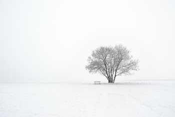 Unsplash ID JHHJHikb9AM