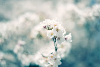 Unsplash ID JhkAK5vBfKc