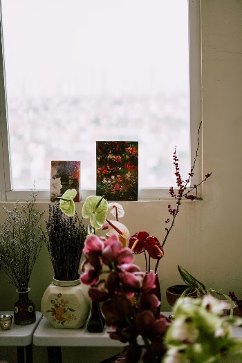 Unsplash ID jLn84N2Gjpk
