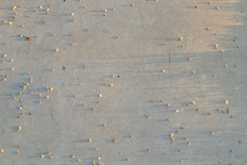 Unsplash ID JM54J1S4XN8