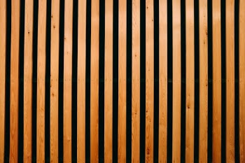 Unsplash ID jmeZxja2Fcs