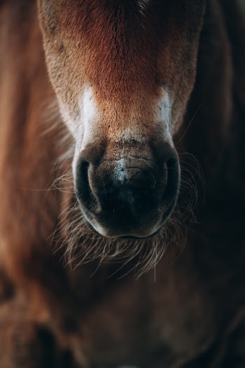 Unsplash ID jO3OYLdcxJo