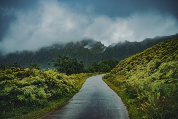 Unsplash ID jPs0ZgfLRww
