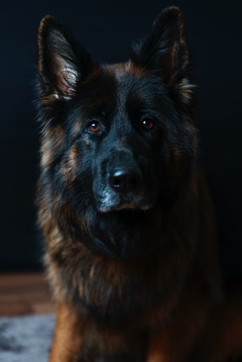 Unsplash ID Jr_DkO3Ow14
