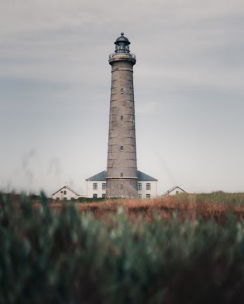 Unsplash ID JRLRTiDgpL8