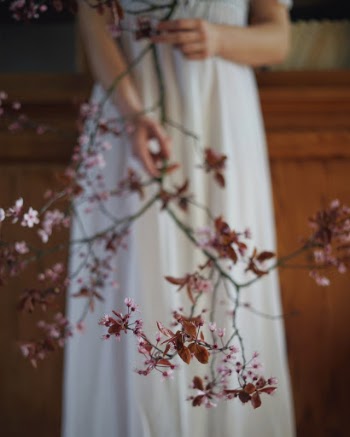 Unsplash ID JRwHP5Zkzus
