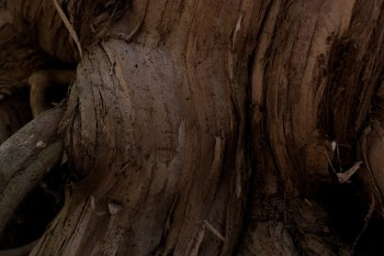 Unsplash ID _JsasKuuQmE