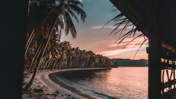 Unsplash ID JTL1sXlJz2U
