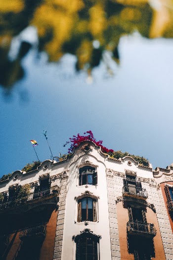 Unsplash ID JUOrSZNZX7U