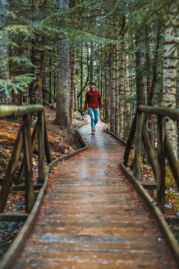 Unsplash ID Jv4c4wAhsGY